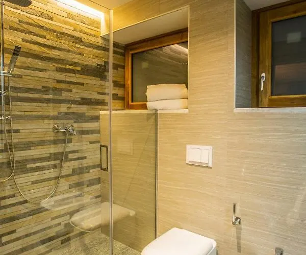 Alpine Guest house 4*